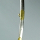 sabre