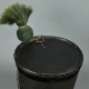 SHAKO D'OFFICIER SUPÉRIEUR DES MOUSQUETAIRES DU CANTON DE VAUD – MODÈLE 1828
